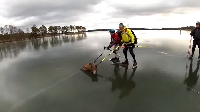 Спасение рядового хрюши на замершем озере смотреть онлайн
