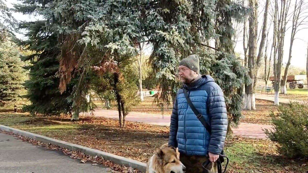 Переезд на юг/+15, как вам такая зима? смотреть онлайн