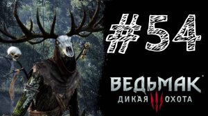 ТРУДНЫЙ ВЫБОР - МЕЖДУ ЗЛОМ! Прохождение #54 - The Witcher 3: Wild Hunt.