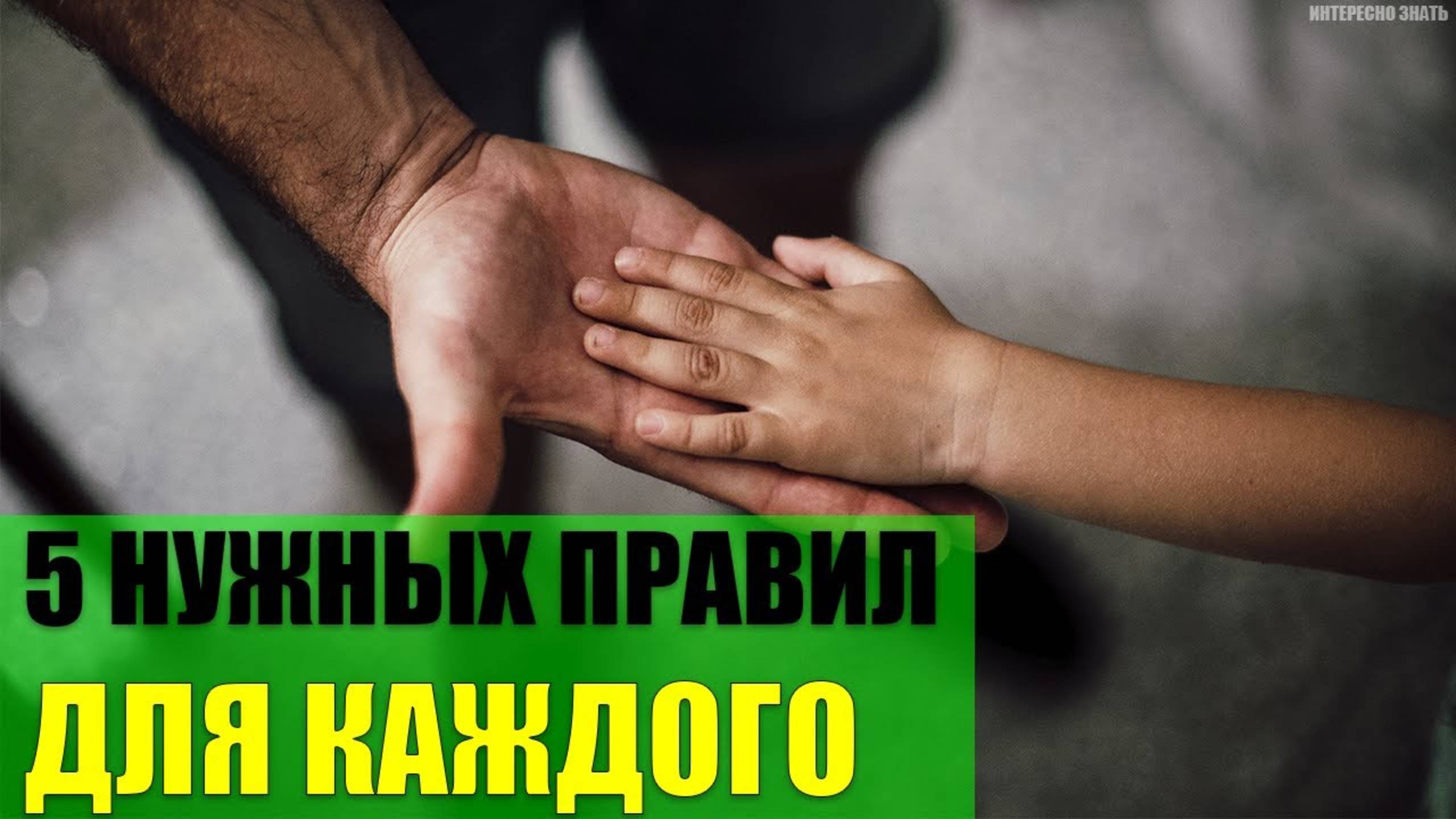 5 простых правил для каждого человека смотреть онлайн