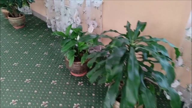 Санаторий