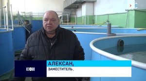 В Севастополе развивается аквакультура