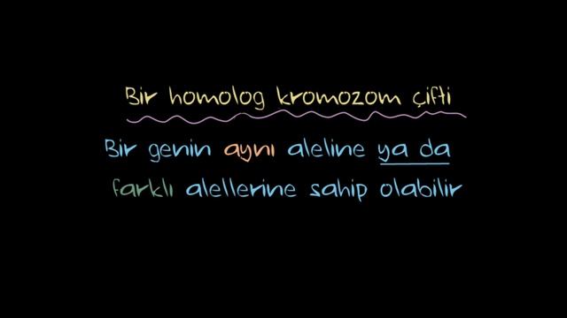 Kromozom Çiftleri (Fen Bilgisi)