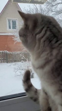 Зимнее настроение в апреле