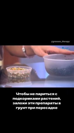 Чтобы не париться с подкормками растений, заложите эти препараты в грунт при пересадке