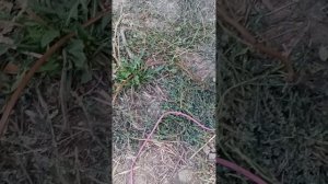 Авто тестер,для короткого замыкания и обрыва цепей.