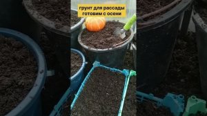 Стаканчики для Рассады готовлю с Осени!