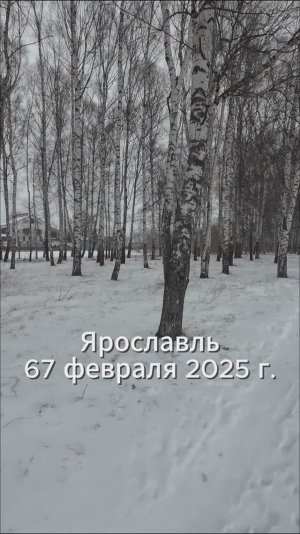Уставшая, но упрямая зима вернулась