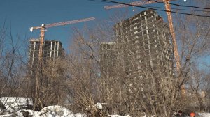 В Новосибирской области 33 участка площадью более 750 гектаров определены под проекты КРТ