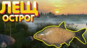 Ловля леща на Старом Остроге Русская рыбалка 4