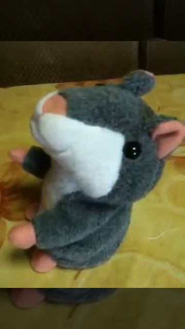 ХОМЯК троллит Пацана смотреть онлайн