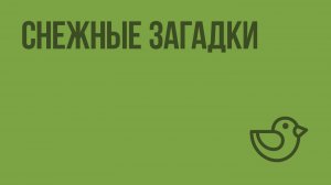 Снежные загадки. Видеоурок по окружающему миру 1 класс