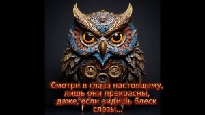 мудрое перо