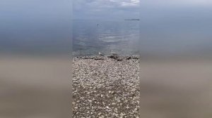 Тишина скалистого берега: пространство, где рождается покой | SeaBreeze Escapes