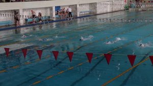 Бассейн 2025-04-08