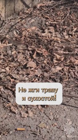 Не жги траву и сухостой! #БезопасностьЭлементарно
