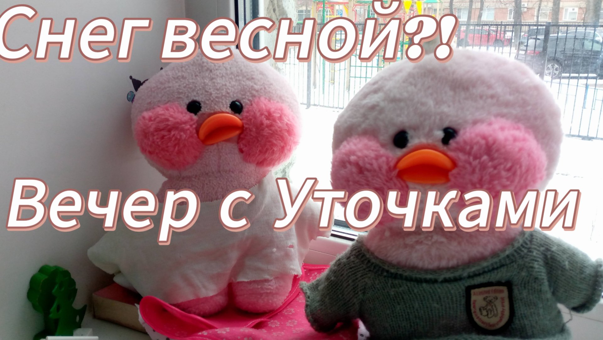 Вечер с уточками  делаем уроки. Уточка Милка Ася и Вика