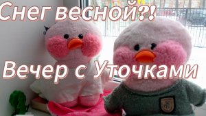 Вечер с уточками / делаем уроки. 📚/Уточка Милка Ася и Вика