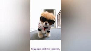 Топ 5 моих мемов