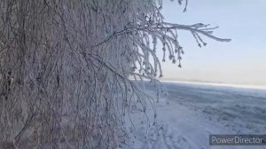 #В Декабре #в Декабре #все деревья #в серебре !