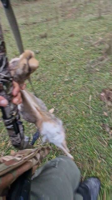 поймали со вскидки живьём подранка смотреть онлайн