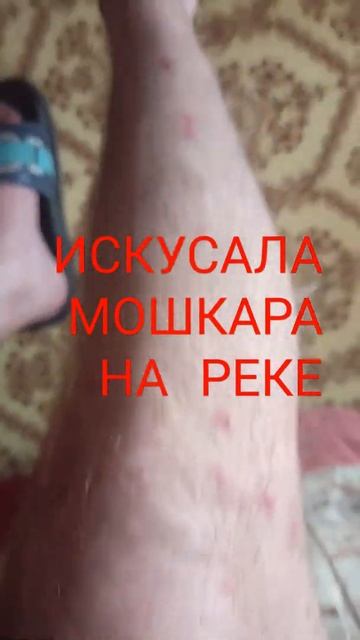 ИСКУСАЛА МОШКАРА НА РЕКЕ смотреть онлайн