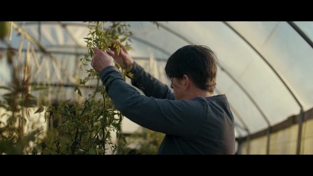 Color Grading Davinci Resolve @luistaveras.colorist смотреть онлайн