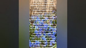 Жизнь — не мысли в твоей голове. 
Жизнь — это краски в твоей душе! 

Петр Квятковский