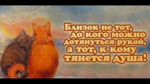 Сборник песен  ЧТО ЕСТЬ У МЕНЯ