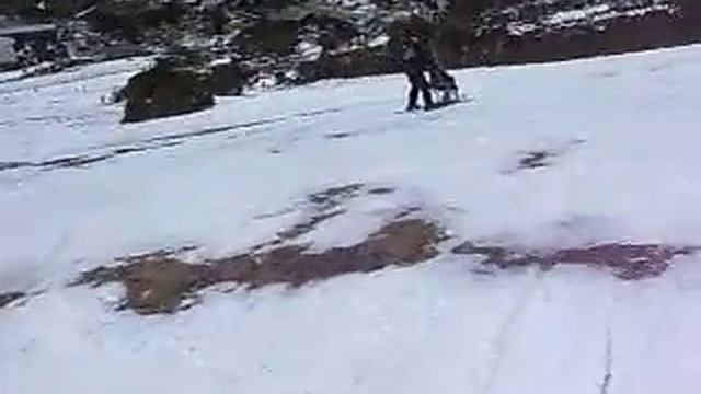 sit skiing at smiggin holes 2/9/2009 смотреть онлайн