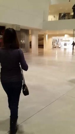VID-20250408-WA0016