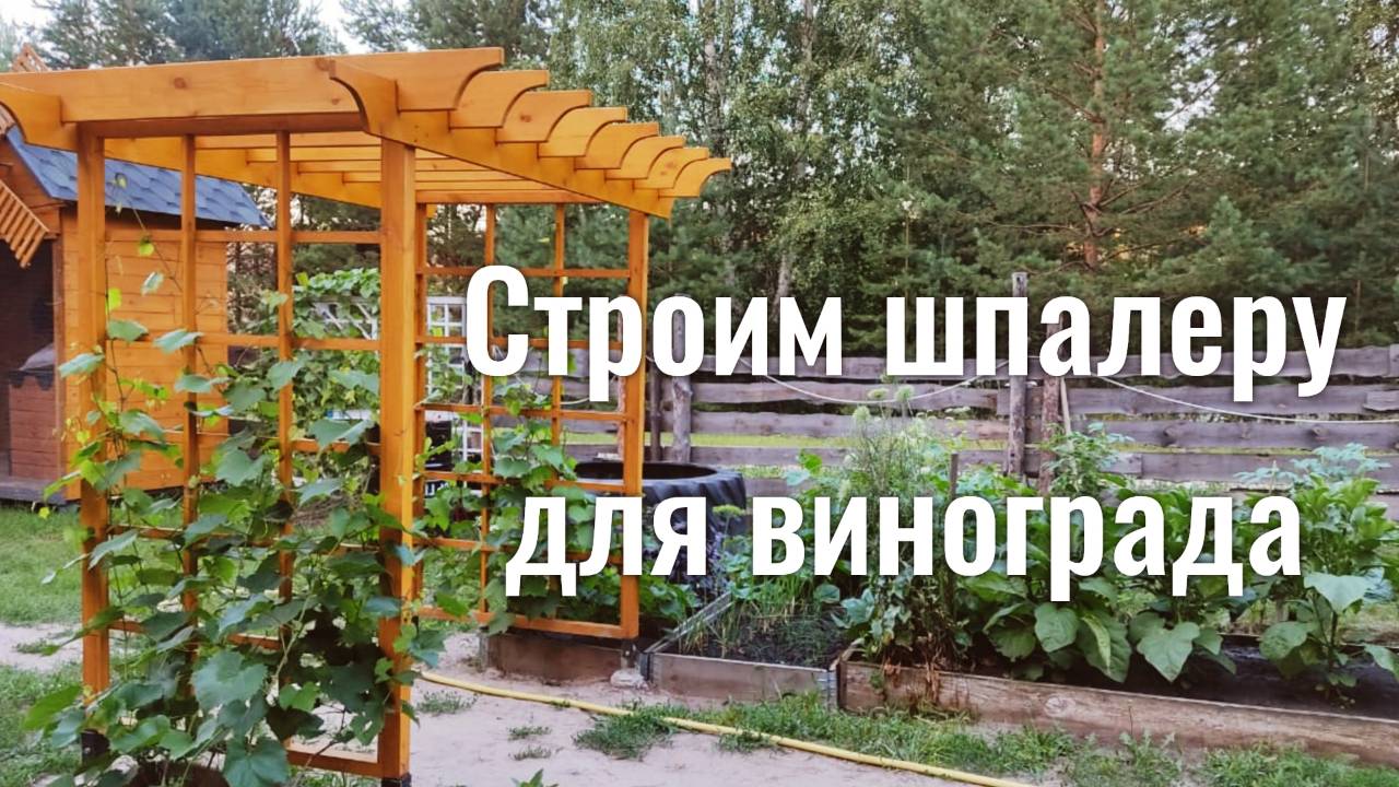 Шпалера-пергола для винограда