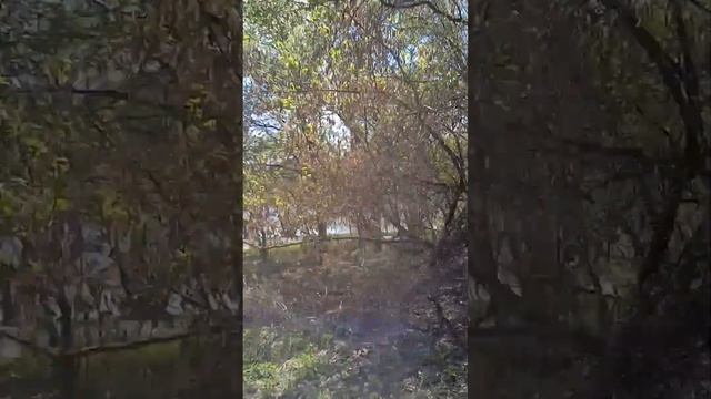 Парк Кузьминки весна Апрель