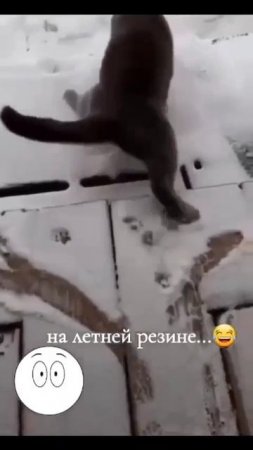 Когда ты на летней резине а в апреле выпал снег 🤣