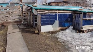 деревенские блоги, всё про нашу жизнь в России