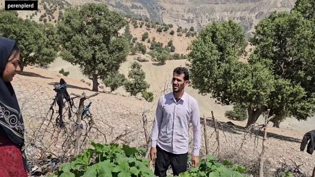 "Endless Journey: Saeed's Family's Quest for Peace and Redemption смотреть онлайн