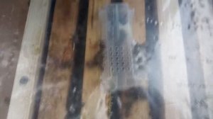 Подсадка маток Карпатки в отводки Бакфаст