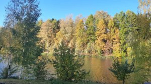 TAG."Осень в моём вязании"