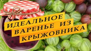 Варенье из крыжовника "Интернациональное".