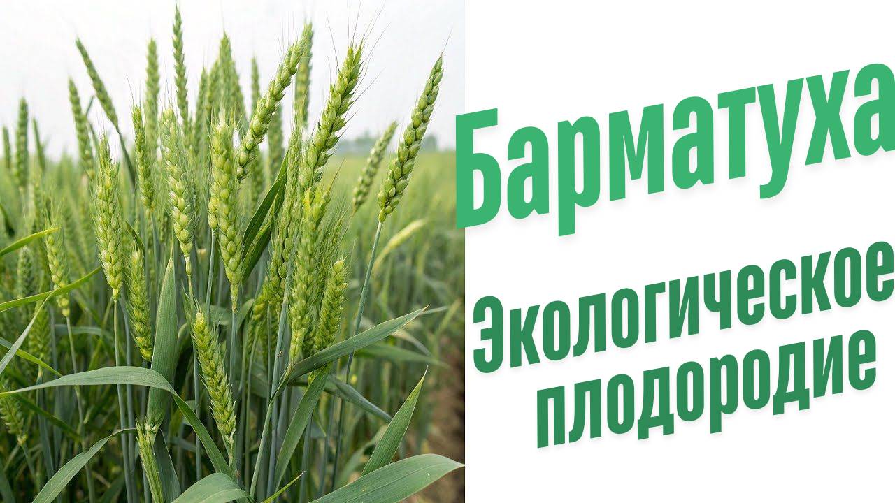 Экологическое плодородие.