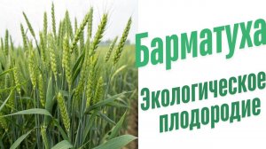 Экологическое плодородие.