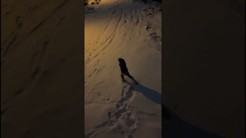 snowy parkour day #parkour