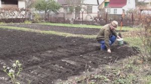 Взял отгул для поездки в Орёл// Осень затянулась, посадил лук и чеснок
