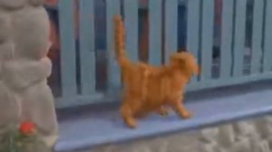 Песня эй толстый