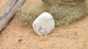 Гавлит. Коротко о главном.