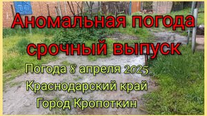 Погода 8 апреля 2025 Краснодарский край город Кропоткин