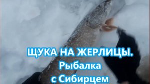 ЩУКА НА ЖЕРЛИЦЫ. Рыбалка с Сибирцем