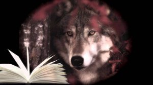 СУДЬБА ЧЕЛОВЕКА-ВОЛКА. 1 ЧАСТЬ