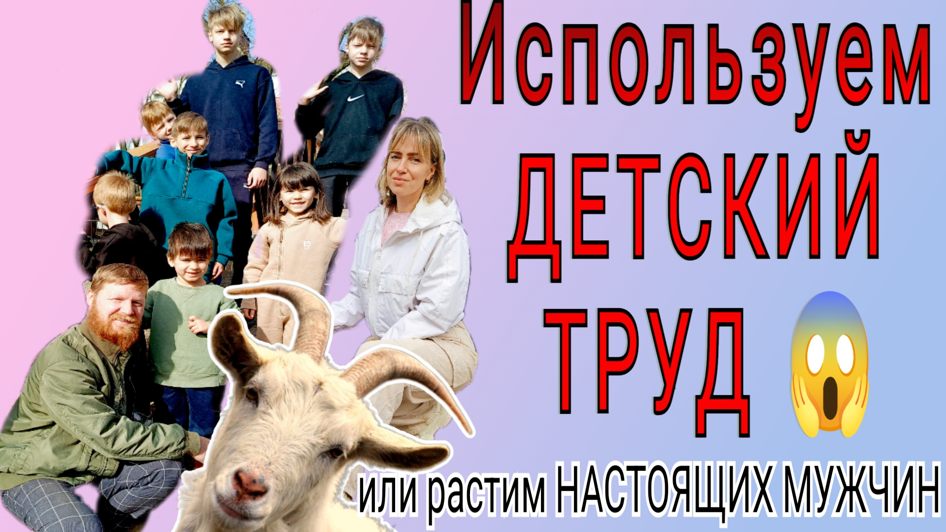 ИСПОЛЬЗУЕМ ДЕТСКИЙ ТРУД  Что мы за родители! многодетные фермерство животноводство КЕТО еда