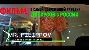 Фильм про самую современную разводню Дискусов в России.
